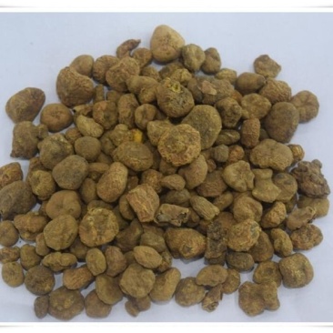 延胡索干货元胡玄量大从优！欢迎选购！