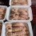 海鲜皮皮虾超肥野生鲜活熟冻超大虾爬虾姑虾婆濑尿虾