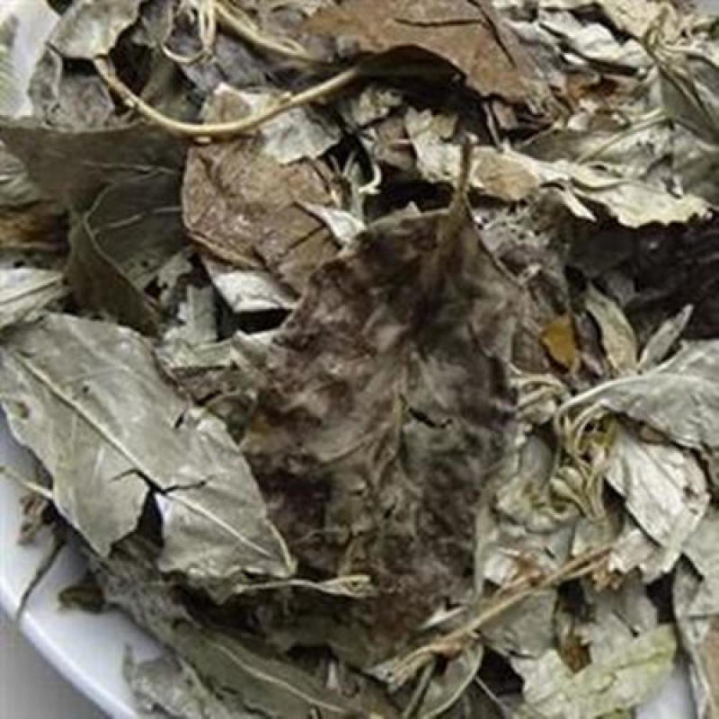 胡颓子叶，中药材胡颓子叶质量保证，经营各种中药材！
