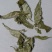 胡颓子叶，中药材胡颓子叶质量保证，经营各种中药材！