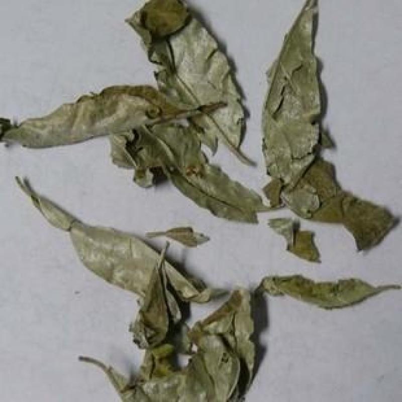 胡颓子叶，中药材胡颓子叶质量保证，经营各种中药材！