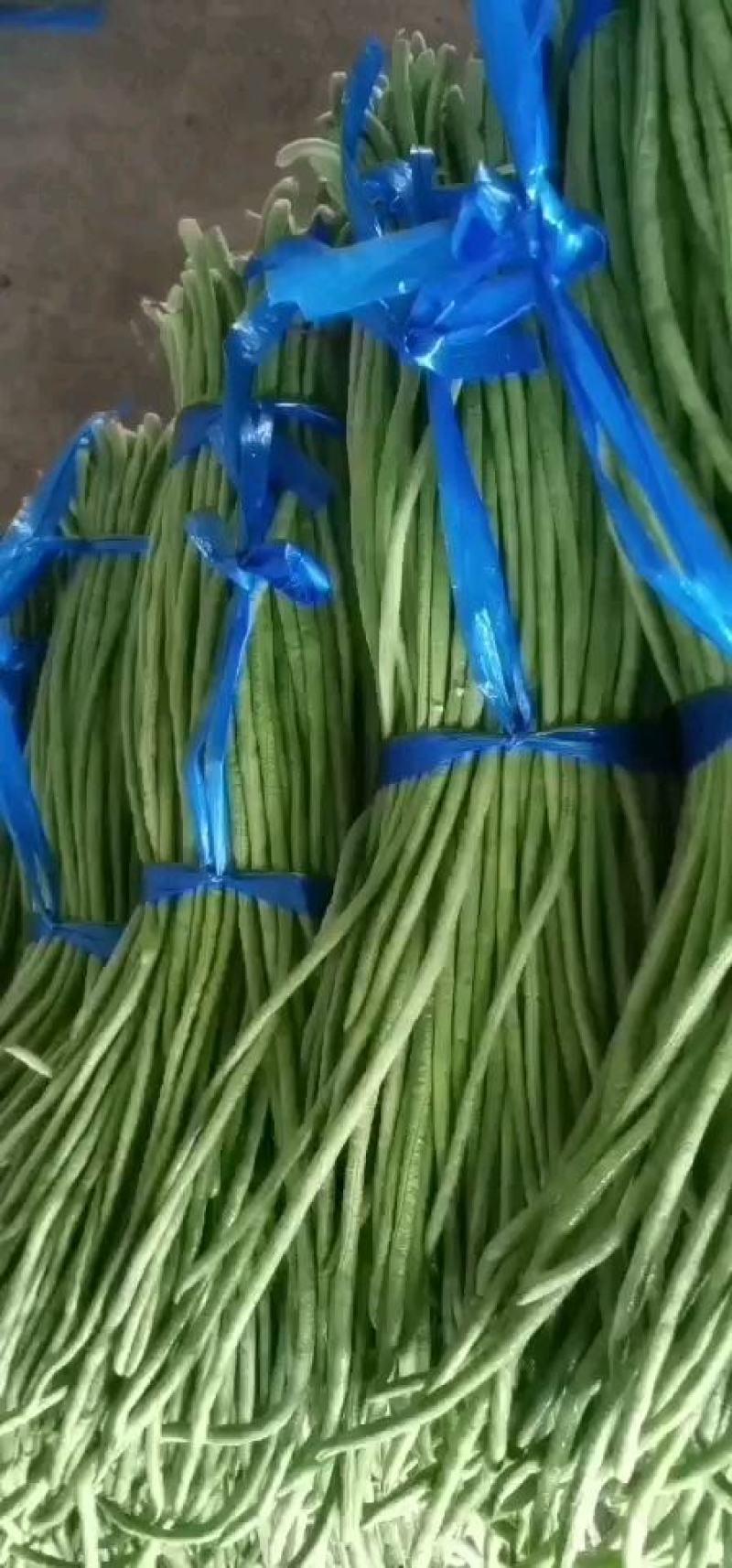豆角