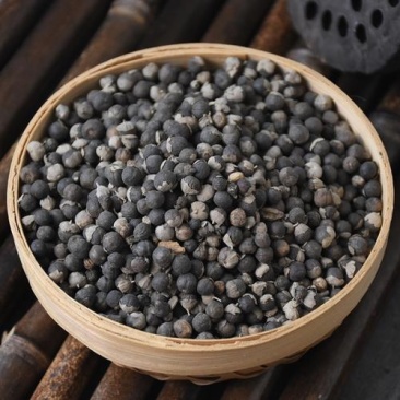 蔓荆子，野生正品蔓荊子质量保证，经营各种中药材