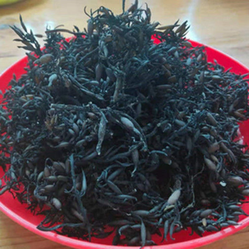 海藻干货常年经营各种中药材欢迎选购！