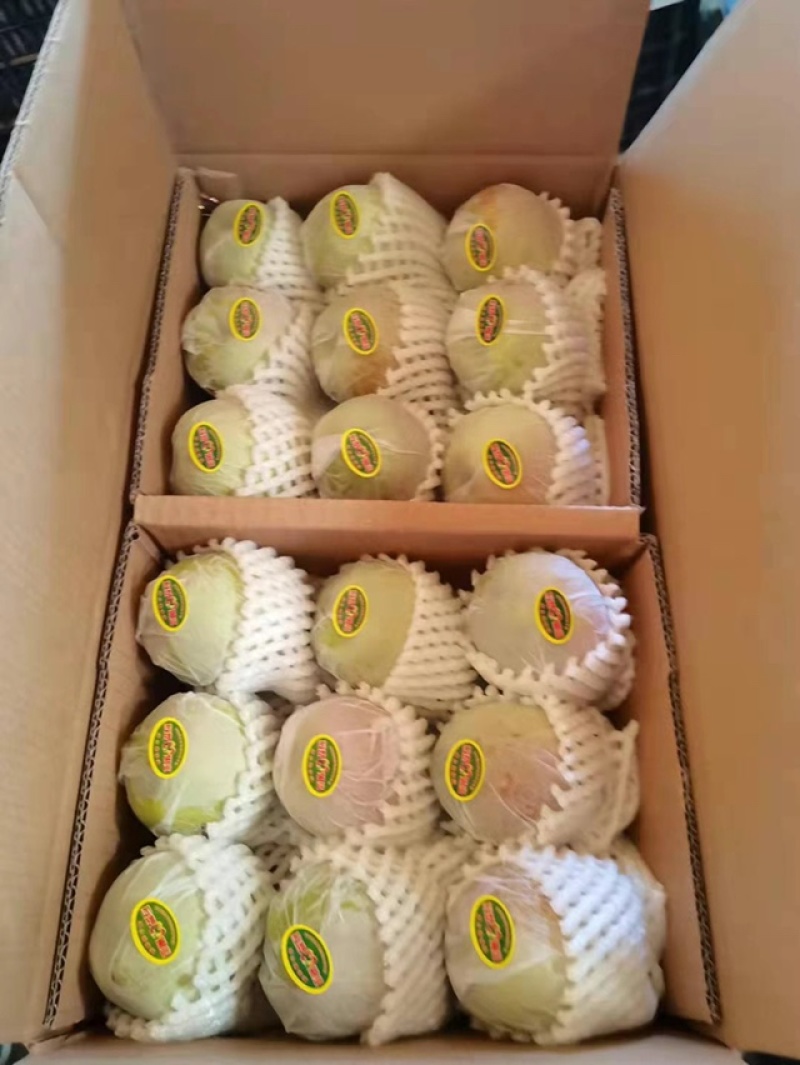 新疆库尔勒香梨特级100克快递包邮皮薄多汁包售后一件起发