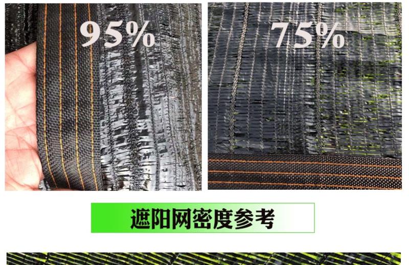 抗老化平针遮阳网75%，95%，黑色遮阳网质保5年以上