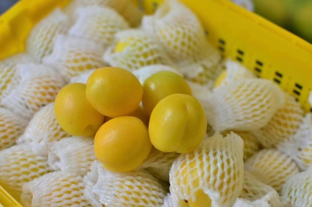 轮台小白杏深加工产品展示图