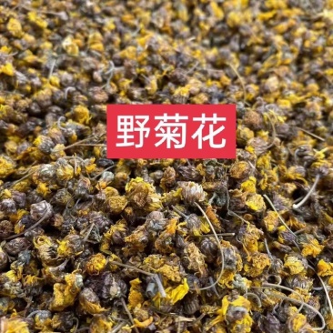 野菊花泡水明目小黄菊连州小黄菊小粒苦野生