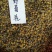野菊花泡水明目小黄菊连州小黄菊小粒苦野生
