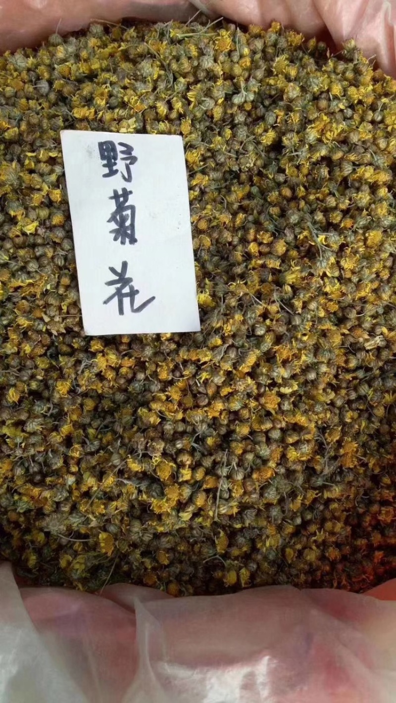 野菊花泡水明目小黄菊连州小黄菊小粒苦野生