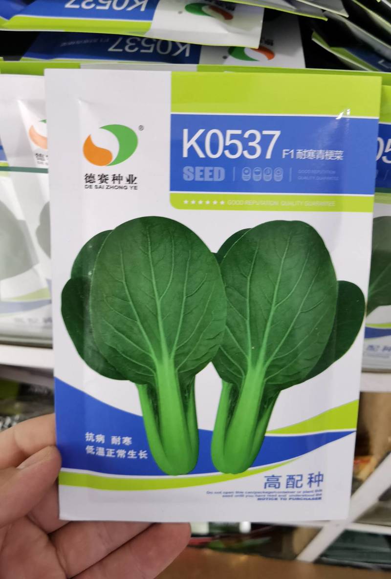 高品质！耐寒青梗菜种子耐低温束腰抗霜霉病耐抽苔株型整齐