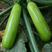 金凯耐寒，绿胜耐热西葫芦种子，产量高，颜色翠绿，光泽度好