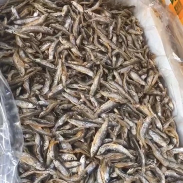 炸鱼干/河鱼干/现炸鱼干/东江鱼干