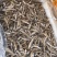 炸鱼干/河鱼干/现炸鱼干/东江鱼干