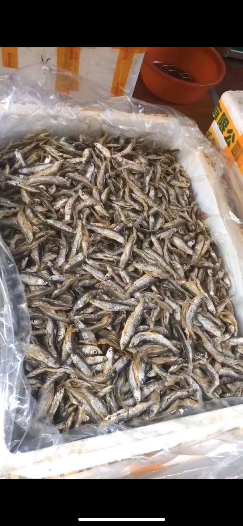 炸鱼干/河鱼干/现炸鱼干/东江鱼干