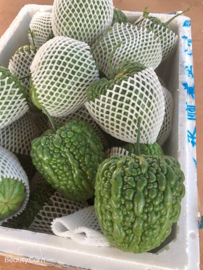 广东精品大顶苦瓜，大量有货，质量保证，欢迎采购
