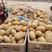 荷兰十五土豆现已大量上市，规格齐全卖相好