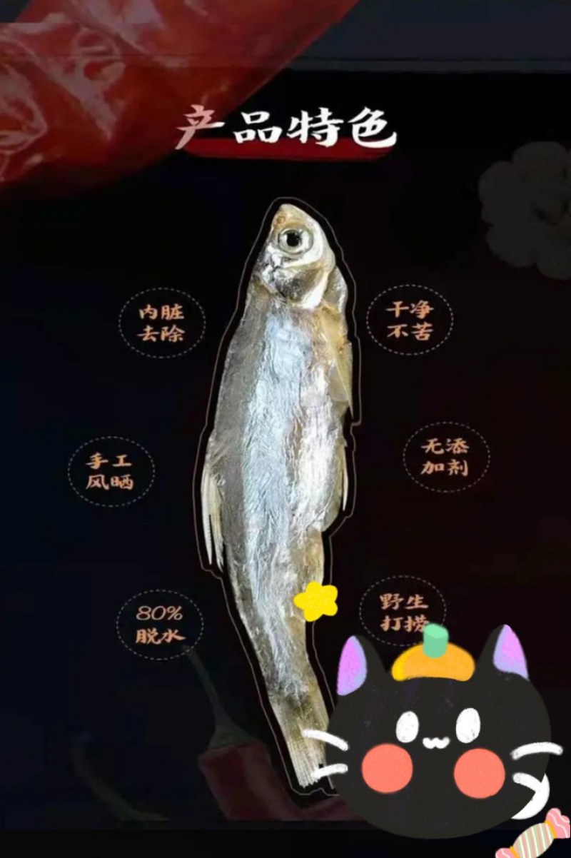 洪湖天然淡水鱼，小白鱼(小白条）自然繁殖，天然生长