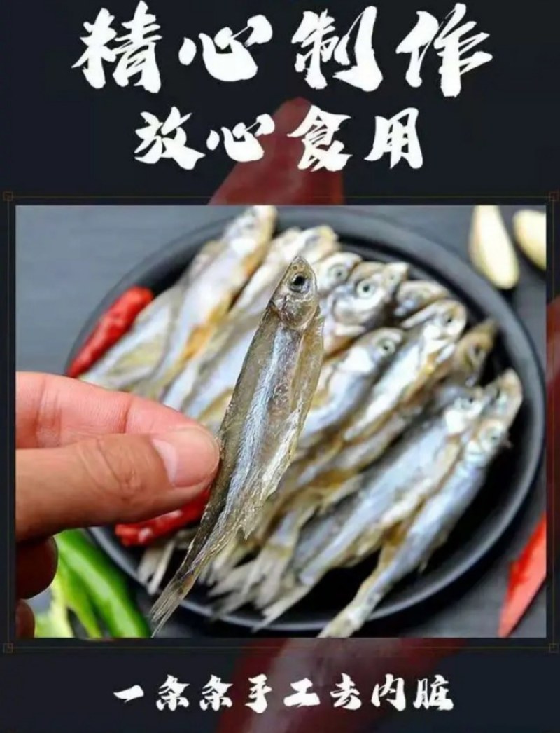 洪湖天然淡水鱼，小白鱼(小白条）自然繁殖，天然生长