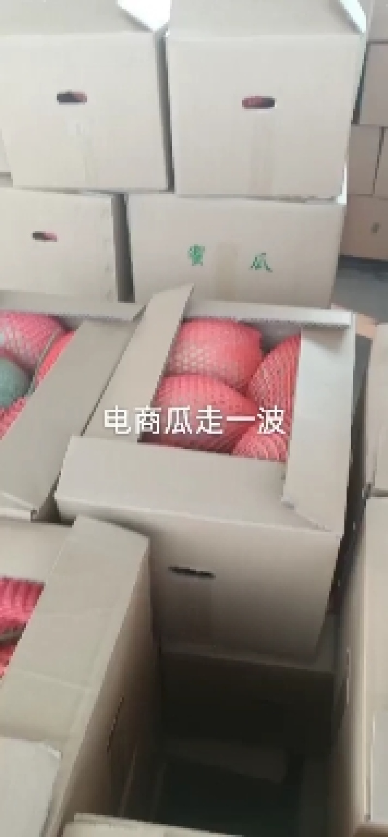 哈密瓜大量上市中