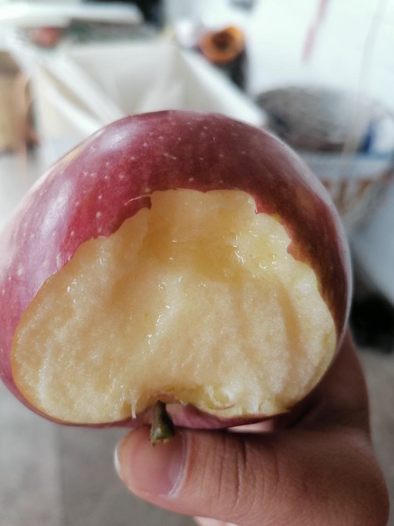 汉源糖心红富士