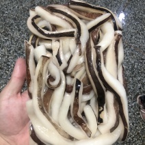 鱿鱼条，物美价廉食堂好产品