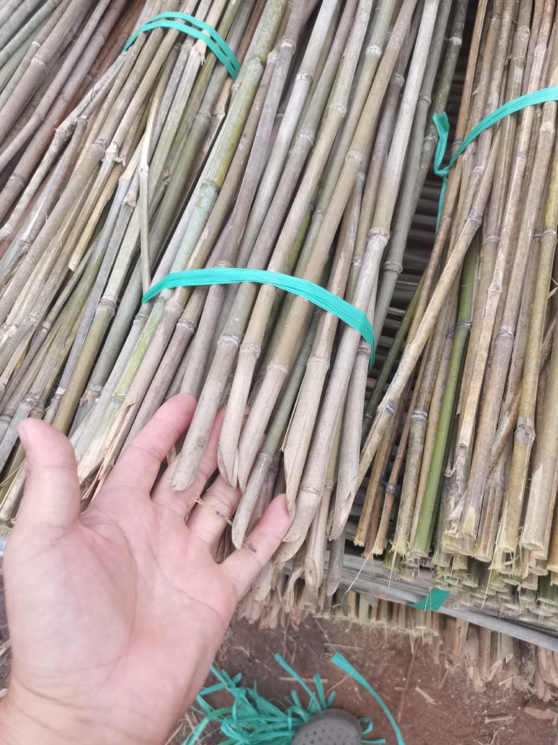 竹子
