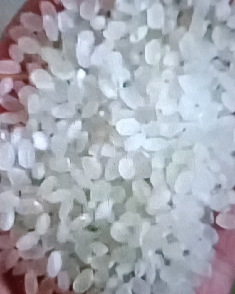 淮南优质精品大米颗粒饱满色泽光亮青香适宜