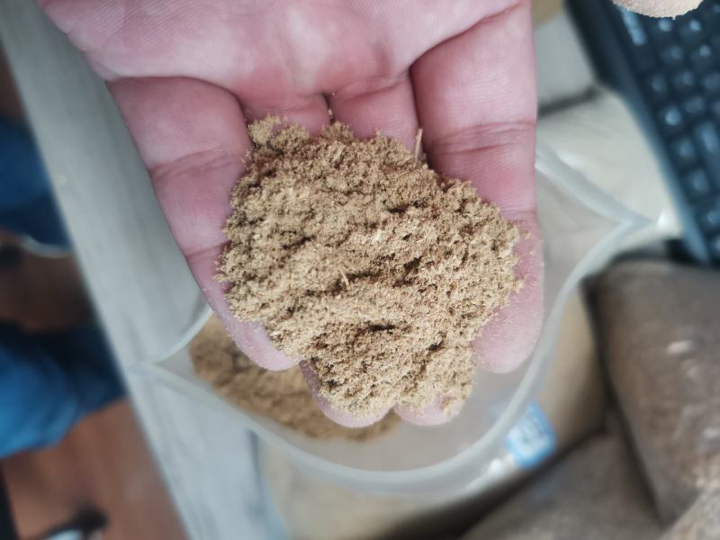 金针菇渣
