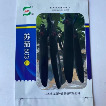 苏茄503茄子种子中早熟品种紫黑长长茄品种