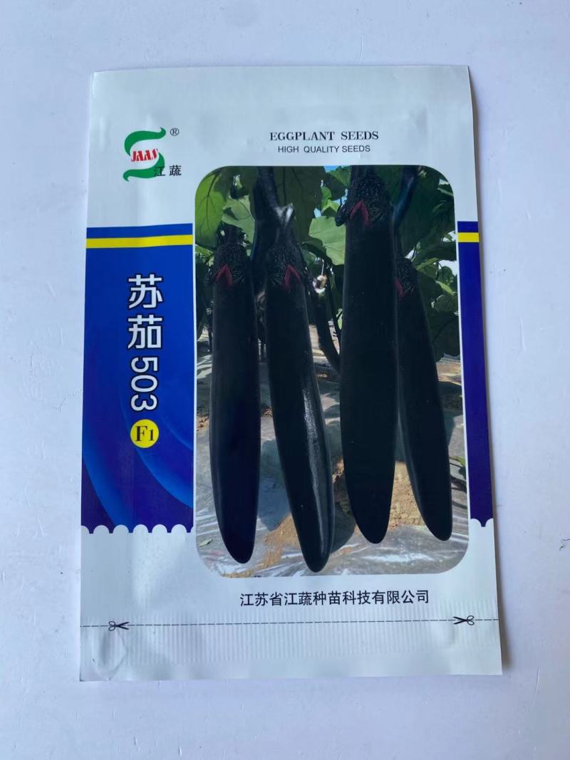 苏茄503茄子种子中早熟品种紫黑长长茄品种