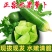 【一件代发】水果萝卜新鲜正宗潍坊青萝卜沙窝萝卜生吃脆甜