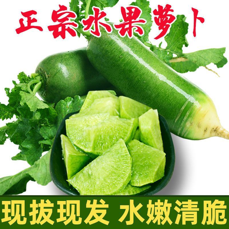 【一件代发】水果萝卜新鲜正宗潍坊青萝卜沙窝萝卜生吃脆甜