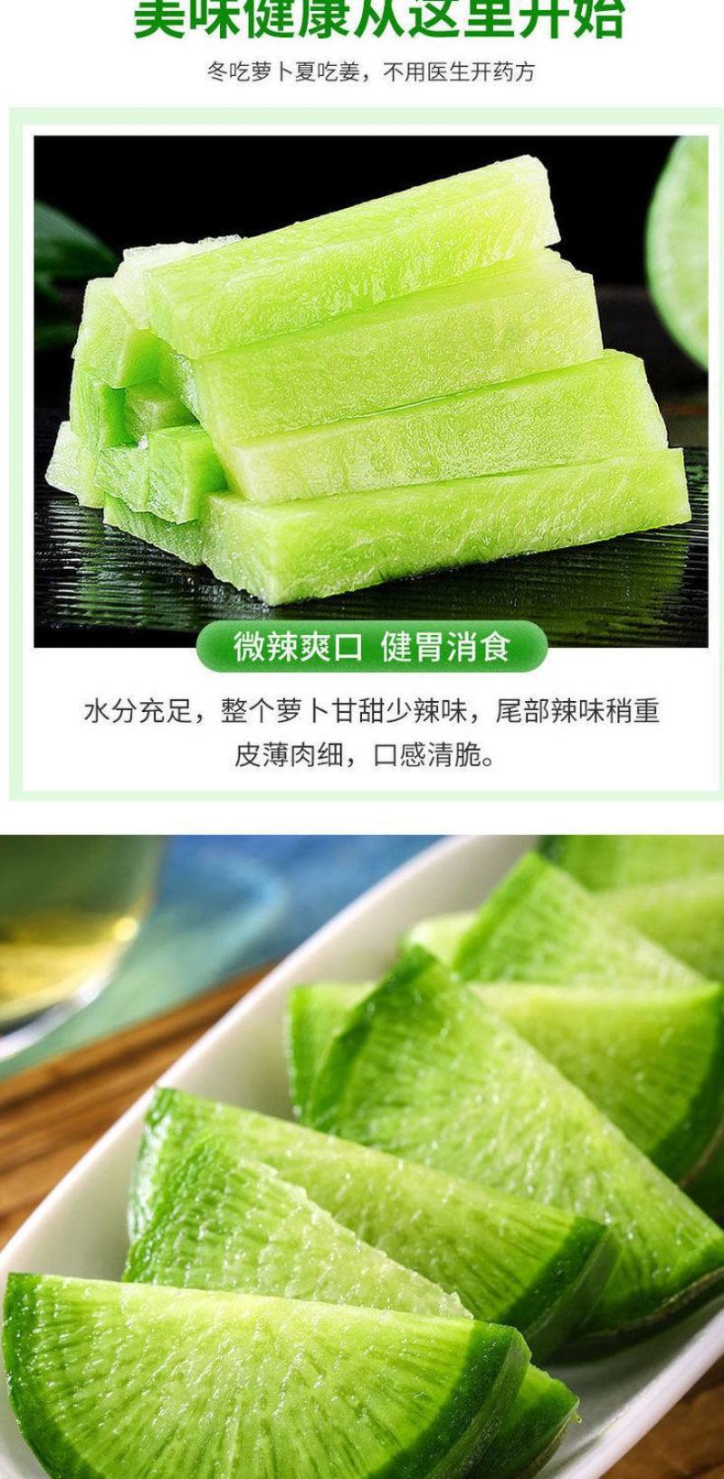 【一件代发】水果萝卜新鲜正宗潍坊青萝卜沙窝萝卜生吃脆甜