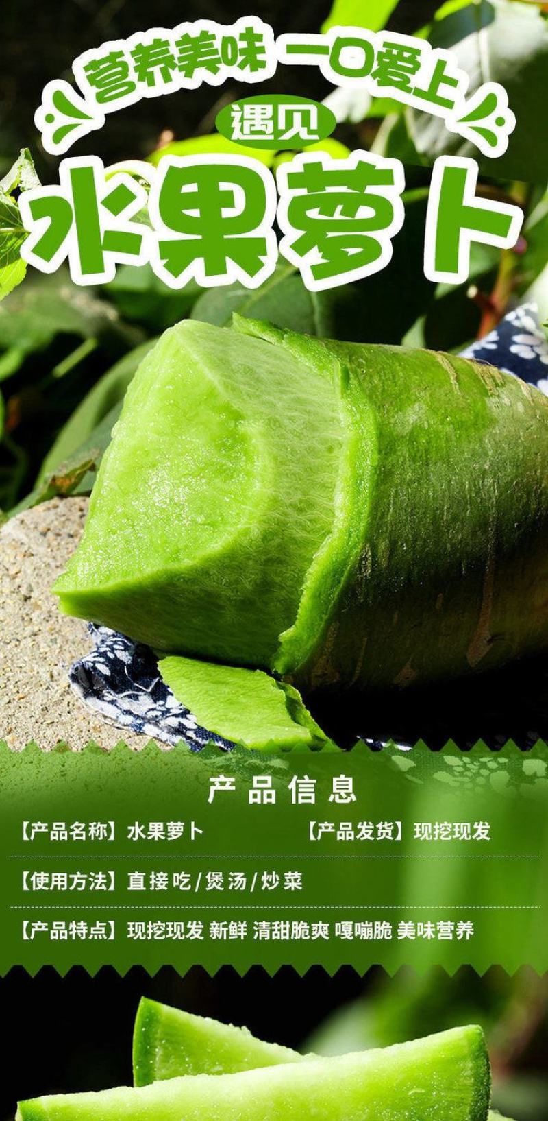 【一件代发】水果萝卜新鲜正宗潍坊青萝卜沙窝萝卜生吃脆甜