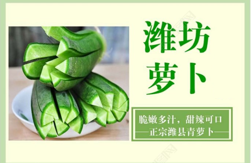 【一件代发】水果萝卜新鲜正宗潍坊青萝卜沙窝萝卜生吃脆甜