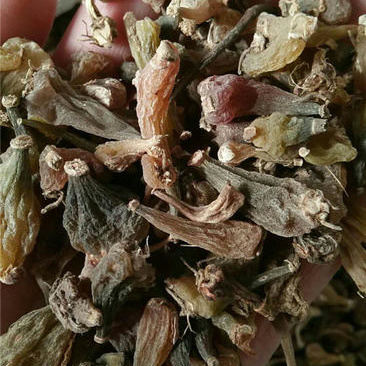 无硫冰球子国产货好正品野生欢迎下单不满意可以退换货