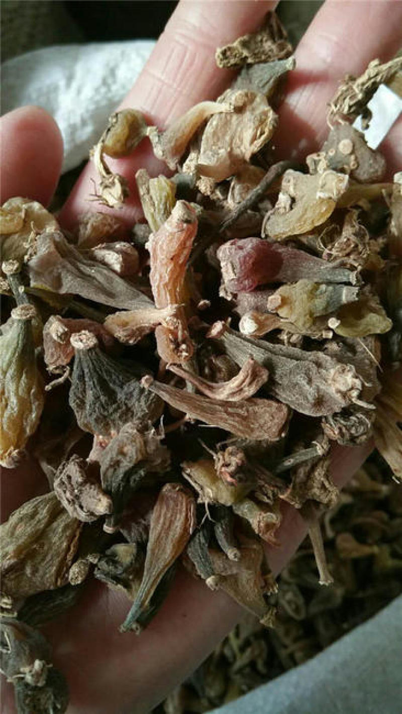 无硫冰球子国产货好正品野生欢迎下单不满意可以退换货