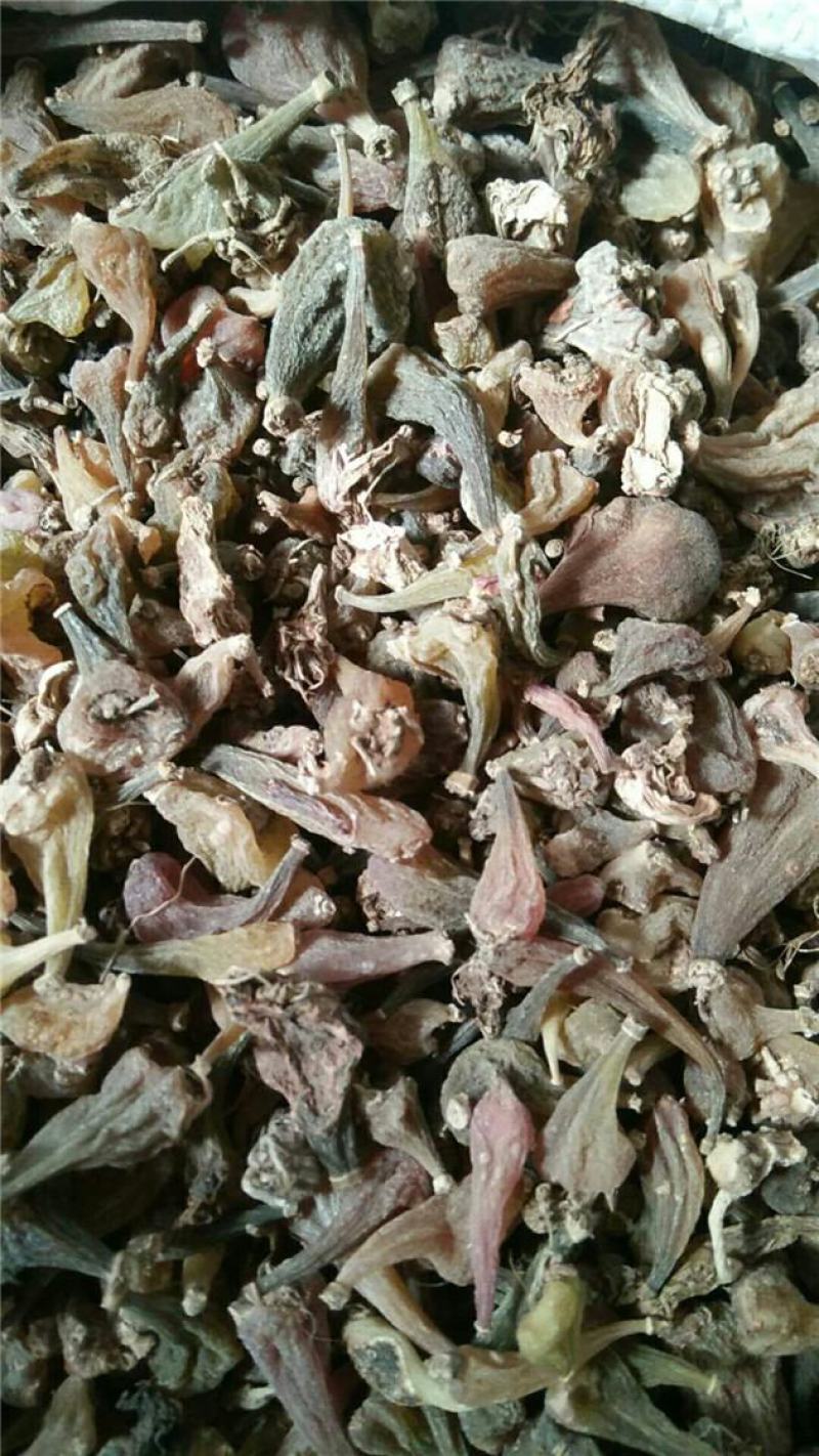 无硫冰球子国产货好正品野生欢迎下单不满意可以退换货