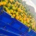 （精品）蜜橘已经大量上市量大从优皮薄肉厚入口化渣