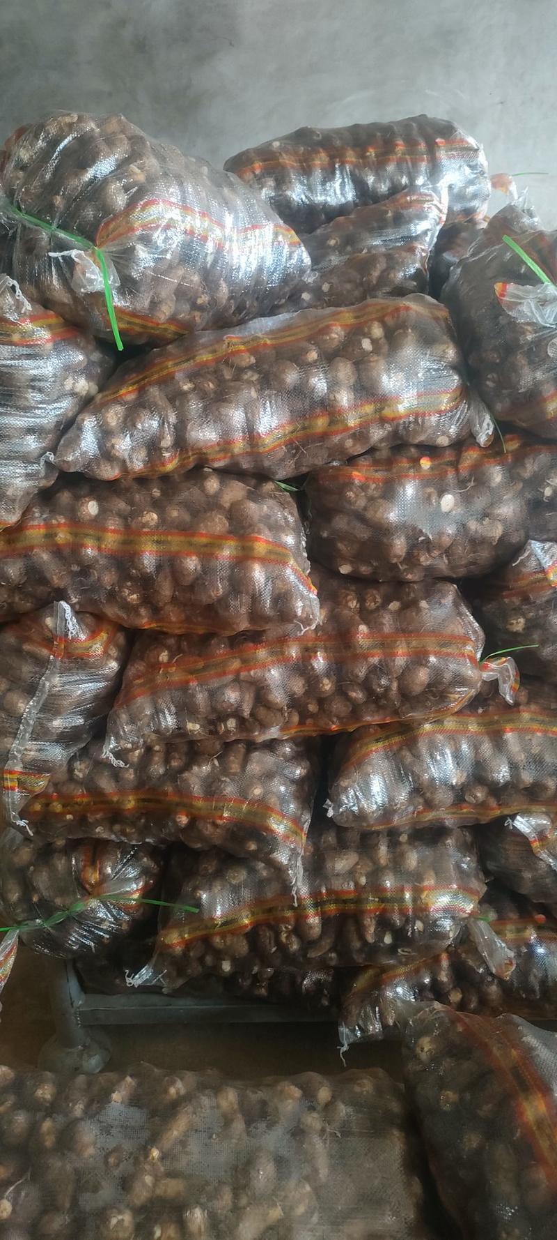 芋头种毛芋头8520芋头基地供货商超货源电商货源全国发