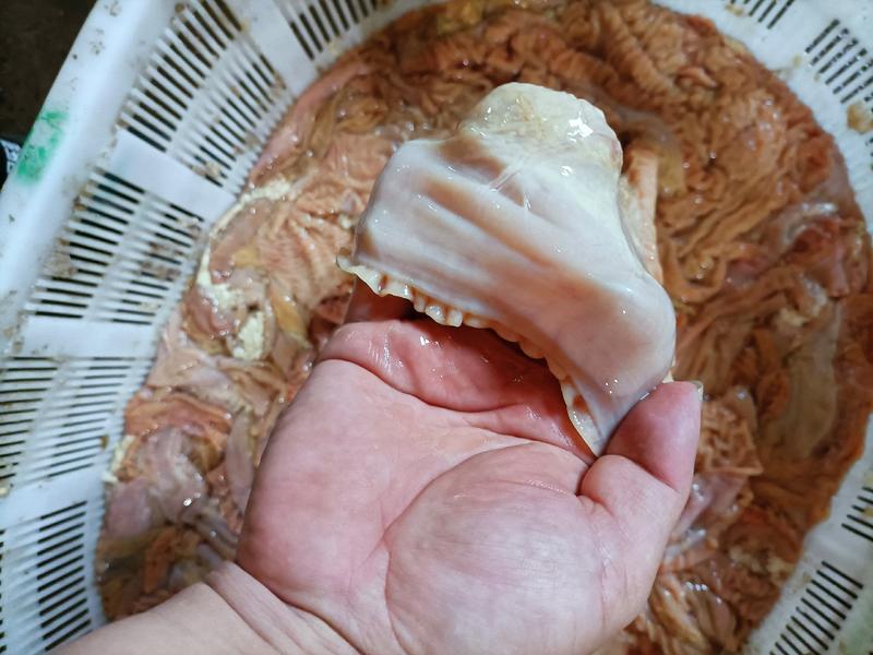内蒙古锡林郭勒牛小肠，抛开去油干净，如质量有问题包来回。