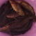 黄骨鱼