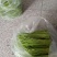 芦蒿，黎蒿，2022上市，量大价优，物美价廉