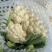 河北万亩实花菜,松花大量供应质量保证货源充足,