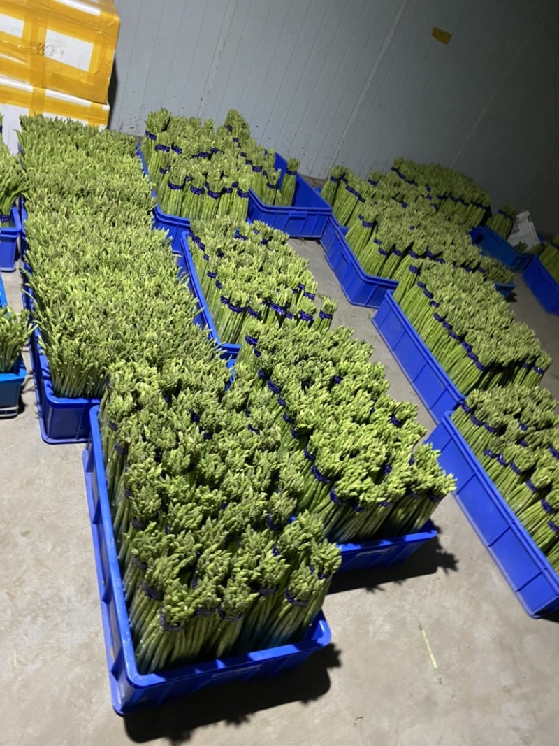 欢迎新老朋友合作