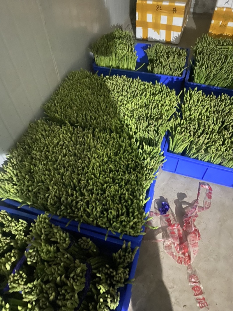 欢迎新老朋友合作