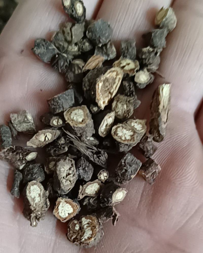 黑柴胡东北黑柴胡产地直销一手货源批发各种中药材