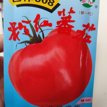 合作908粉红番茄种子西红柿种子杂交种中早熟型无限型