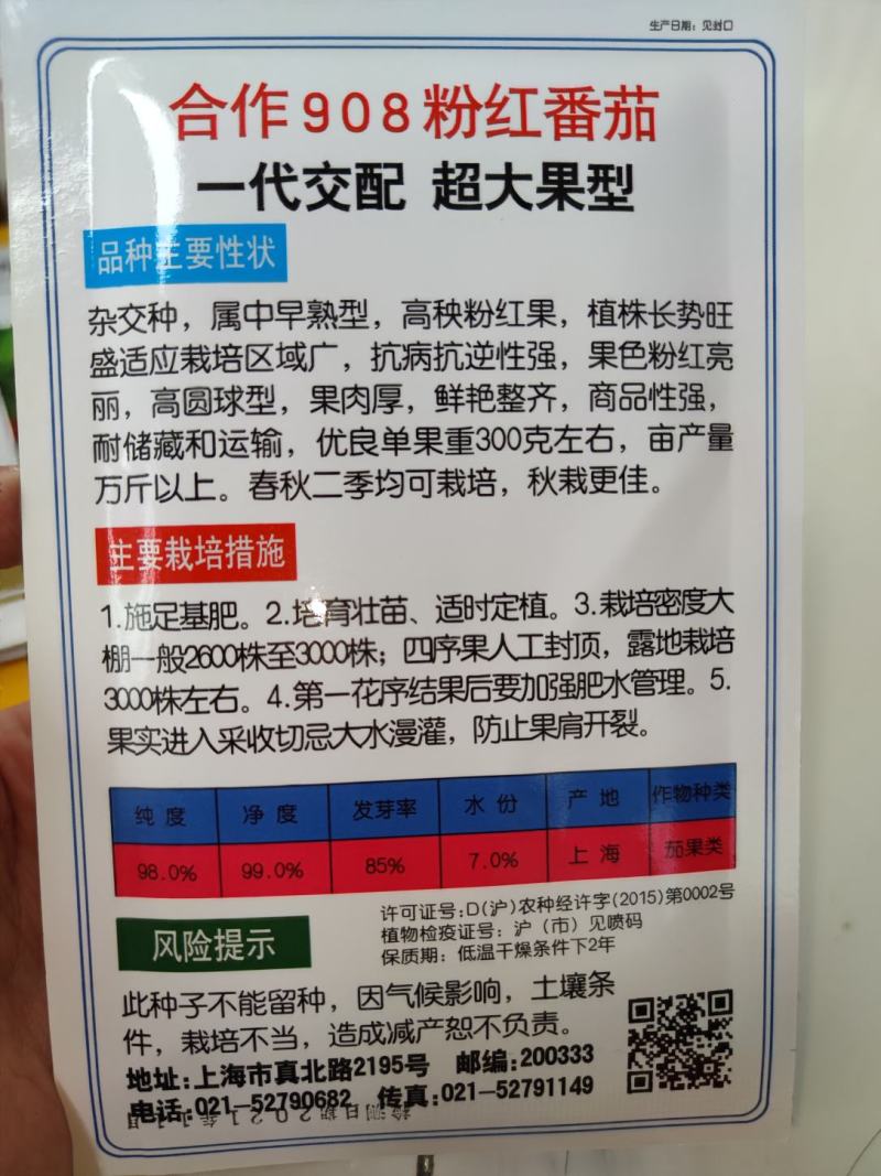 合作908粉红番茄种子西红柿种子杂交种中早熟型无限型
